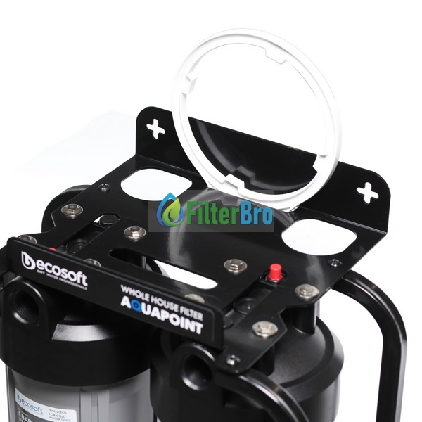 Двоступінчастий фільтр Ecosoft AquaPoint FPV24520SECOSTD 082054555 фото