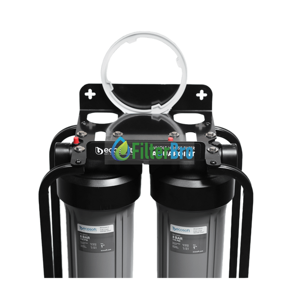 Двоступінчастий фільтр Ecosoft AquaPoint FPV24520SECOSTD 082054555 фото