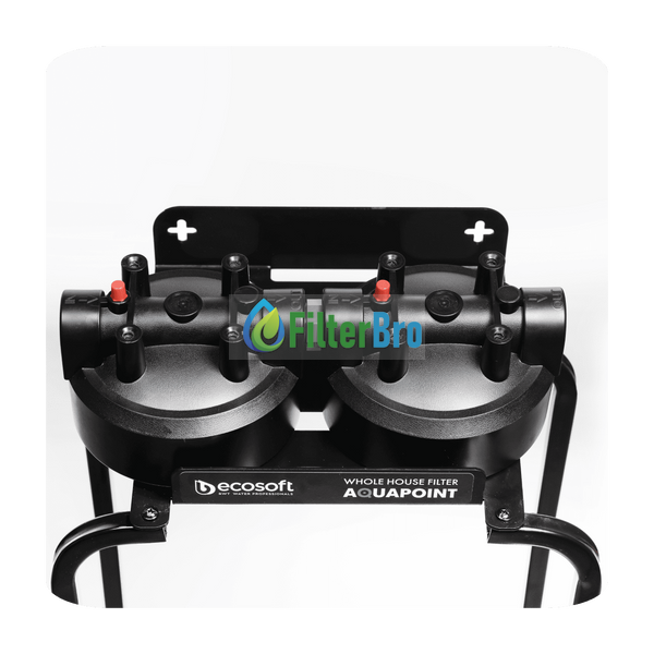 Двоступінчастий фільтр Ecosoft AquaPoint FPV24520SECOSTD 082054555 фото